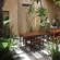 Bamboo Bamboo Homestay 