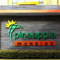 Pineapple Mansion 