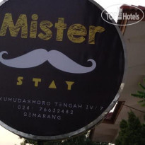 Mister Stay 