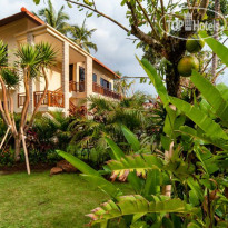 Discovery Candidasa Cottages and Villas Villa view