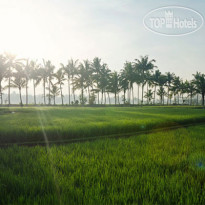 Bhuwana Ubud Hotel