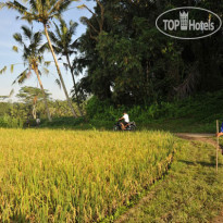 Alam Sari Keliki Hotel 