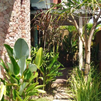 Casa Nuri 