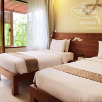 Arana Suite 