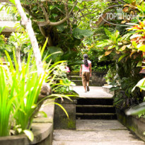 Ellies Hotel 