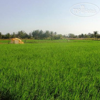 Kirana Homestay 