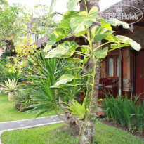 Warsas Garden Bungalows and Spa Территория отеля