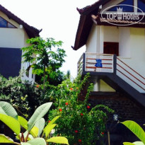 Lily Amed Beach Bungalows 