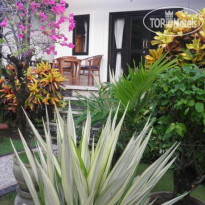 Divers Cafe Amed 
