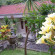 Belong Bunter Homestay 