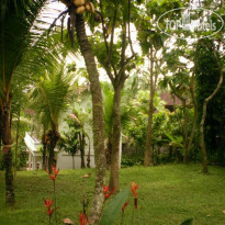 Argasoka Bungalows 