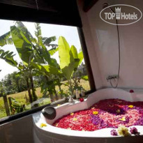 Ubud Hidden Villa 