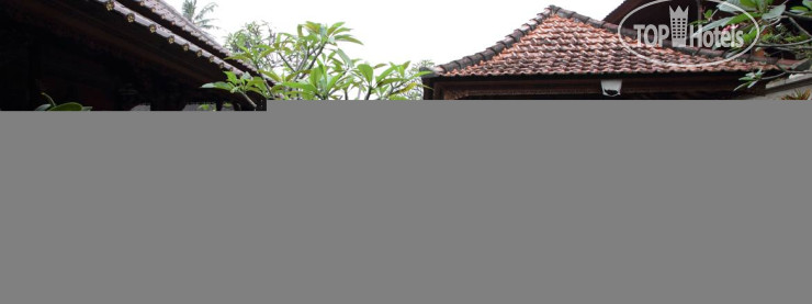 Новые добавленные фото туристов Citrus Tree B&B - Hutama