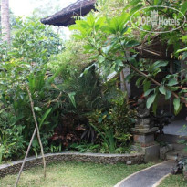 Budi Guesthouse 