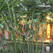 Tagel Karsa House
