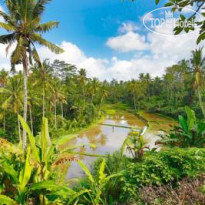 Capung Sakti Villa & Spa 