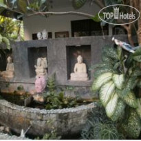 Alamanda Accomodation