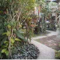 Alamanda Accomodation