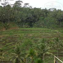 Ubud Cliff Villas 