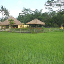 Aruna Villa