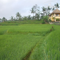 Aruna Villa