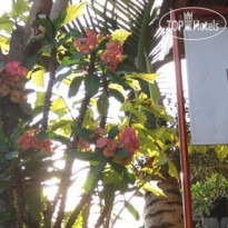 Danasari Accommodation