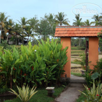 Bali Suksma Villa Nyuh Kuning 3*