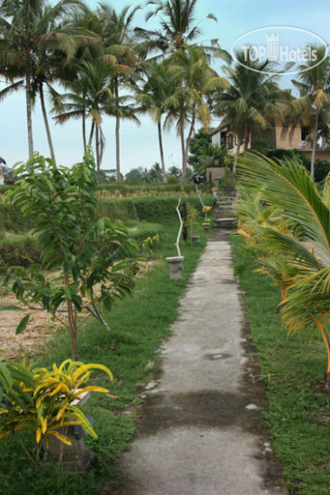 New photos from tourists Bali Suksma Villa Nyuh Kuning 3*