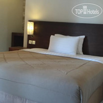 Teja Guest House & Gallery