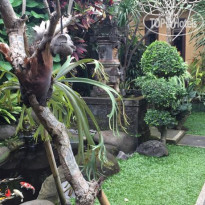 Teja Guest House & Gallery