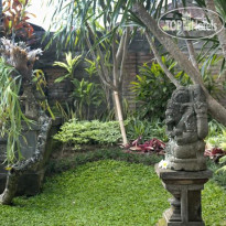 Teja Guest House & Gallery