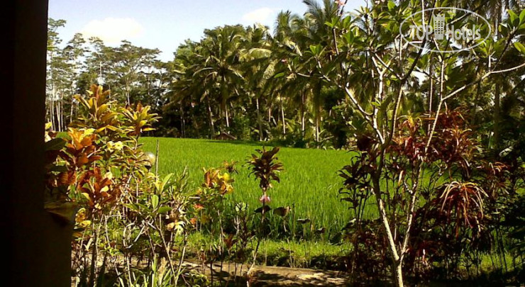 Фотографии отеля  Arjana Bungalows Rice Field 1*