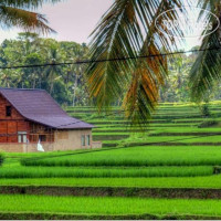 Ibu Ubud Villa 4*