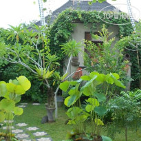 Jasmine Villa B&B 