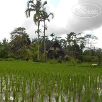 Matahari Lumbung's Bungalow 