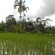 Matahari Lumbung's Bungalow 