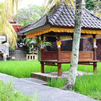 Bali Putra Villa 