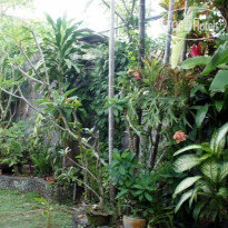 Nyoman Badri Homestay 