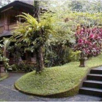 Tiing Gading Bungalows Ubud 