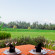 The Samara Villas & Restaurant 