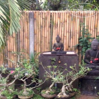 Zappa Bali Hostel Территория отеля