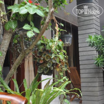 Pondok Krishna Poppies 
