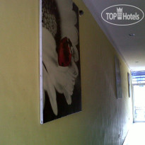 The Legian 777 Guest House 