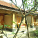 Trijaya Guest House 