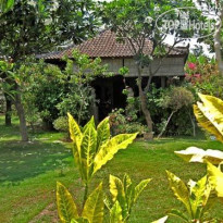 Rare Angon Homestay 