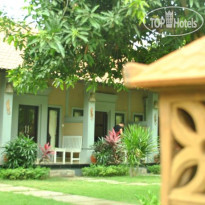 Bali Gecko Homestay 