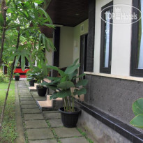 Cinthya Guest House 