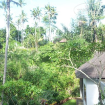 The Bali Shanti