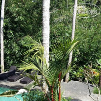 The Bali Shanti