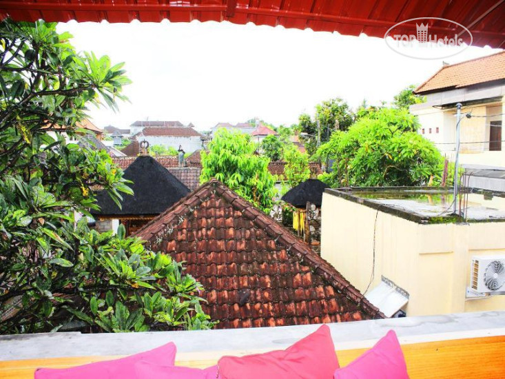 Новые добавленные фото туристов Ubud Market Hostel 1*